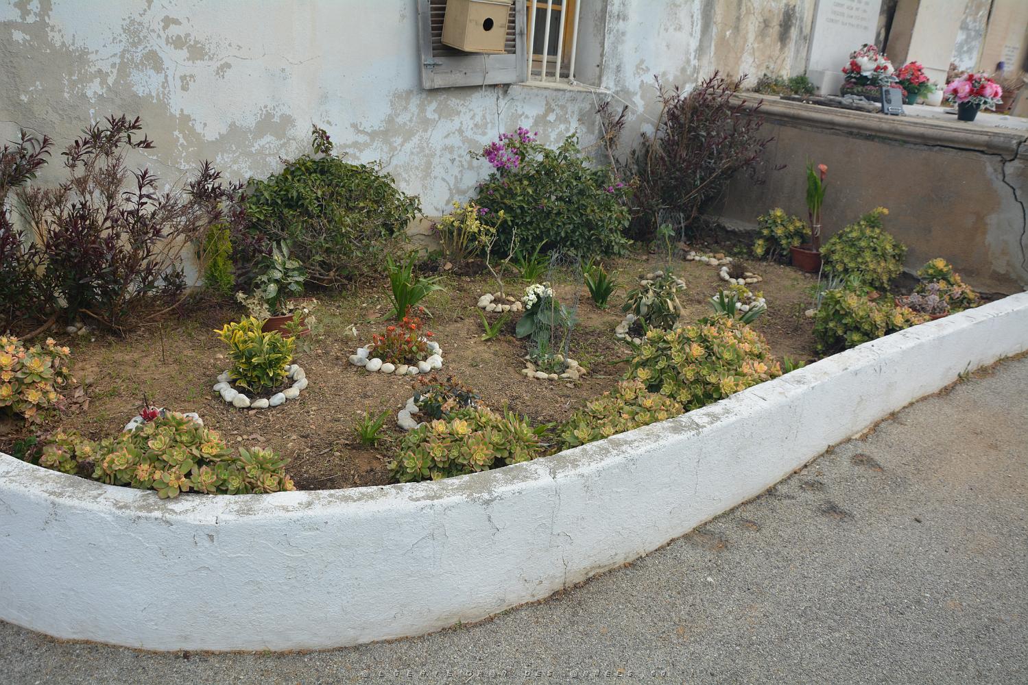 2021 03 26 LA SEYNE SUR MER HOMMAGE AUX VICTIMES DU 26 03 1962 A ALGER (10).JPG